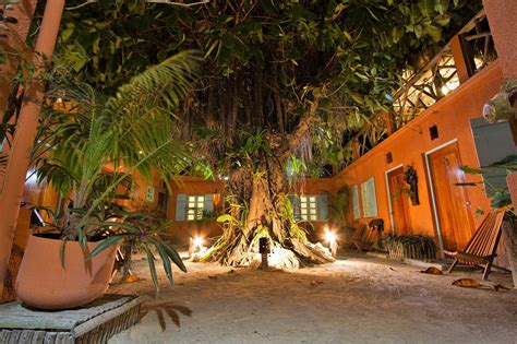 sea dreams hotel|Sea Dreams Hotel, Caye Caulker – Updated 2024 Prices.